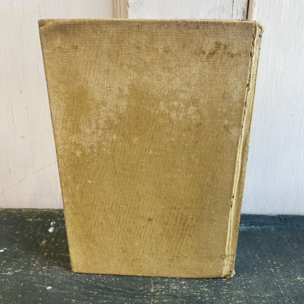Through Forest and Fire‎ by Edward S. Ellis -1901 Hardcover Book